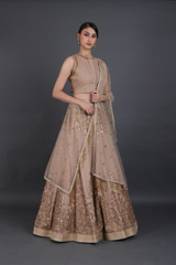 Beige Embellished LehengaIMG_6438