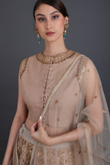 Beige Embellished LehengaIMG_6440