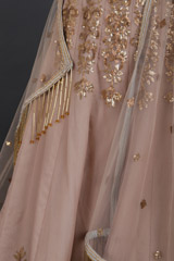 Beige Embellished LehengaIMG_6448