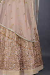 Beige Embellished LehengaIMG_6450