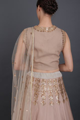 Beige Embellished LehengaIMG_6454