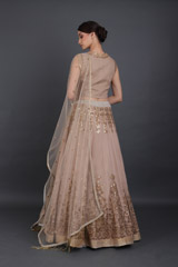 Beige Embellished LehengaIMG_6463
