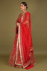 Pink Embellished LehengaDSC02458