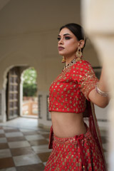 Pink Embellished LehengaDSC07281