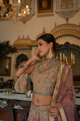 Multi Color Embellished LehengaDSC03690