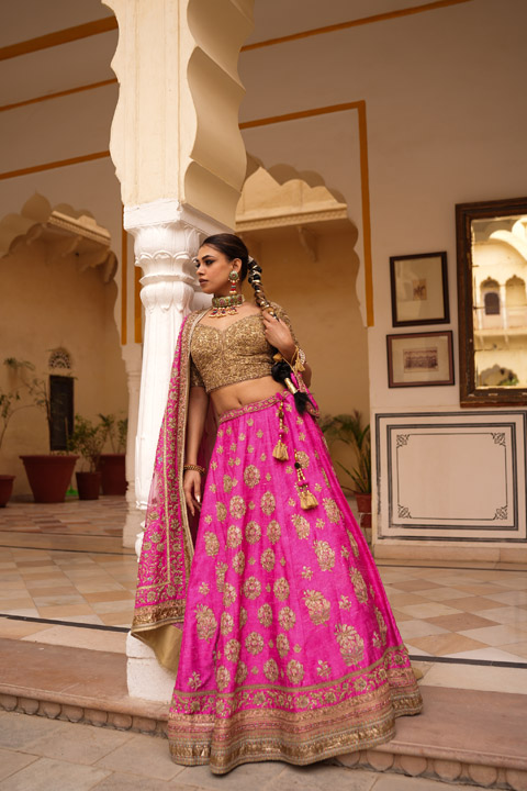 Pink Embellished Lehenga