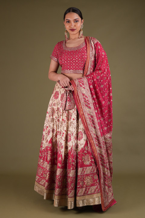 Pink Embellished Lehenga