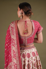 Pink Embellished LehengaDSC03435