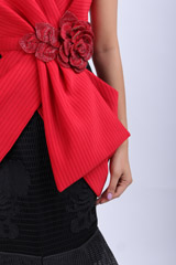 Red And Black GownIMG_7632