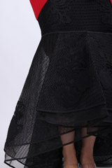 Red And Black GownIMG_7637