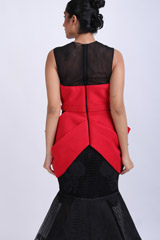 Red And Black GownIMG_7645