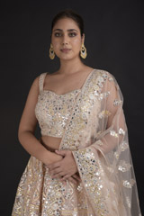 Peach Foil Gota Lehenga_DTR2526