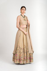 Biege Flared Lehenga_DSC3027-Edit-Edit