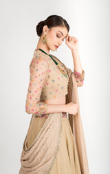 Biege Flared Lehenga_DSC3033-Edit