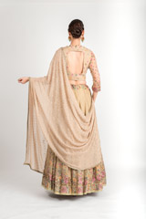 Biege Flared Lehenga_DSC3044-Edit