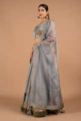 Embellished LehengaDSC02157