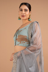 Embellished LehengaDSC02166