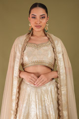 Beige Banarasi LehengaDSC04708