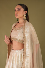 Beige Banarasi LehengaDSC04711