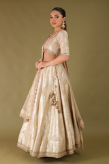 Beige Banarasi LehengaDSC04712