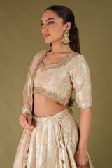 Beige Banarasi LehengaDSC04713