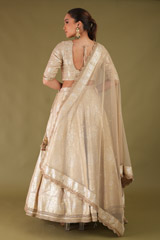 Beige Banarasi LehengaDSC04717