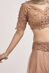 Peach Net Lehenga_SUB7237