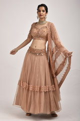 Peach Net Lehenga_SUB7238