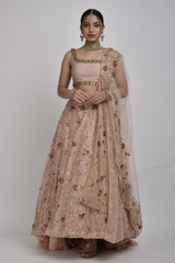 Peach Embellished Lehenga_SUB7457