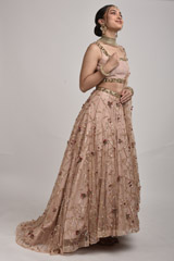 Peach Embellished Lehenga_SUB7472
