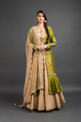 Beige Chanderi Lehenga Set4877_video