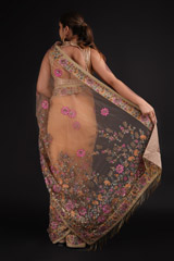 Beige Embellished Saree SetDSC08142