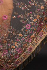 Beige Embellished Saree SetDSC08143