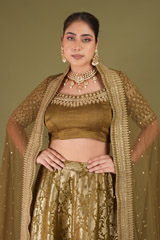 Green Banarasi LehengaDSC04892
