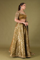 Green Banarasi LehengaDSC04894