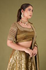 Green Banarasi LehengaDSC04896