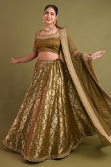 Green Banarasi LehengaDSC04897