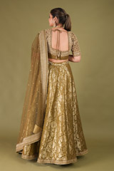 Green Banarasi LehengaDSC04898