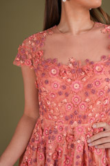 Coral Embroidered GownDSC03615