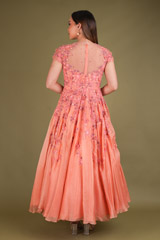Coral Embroidered GownDSC03621