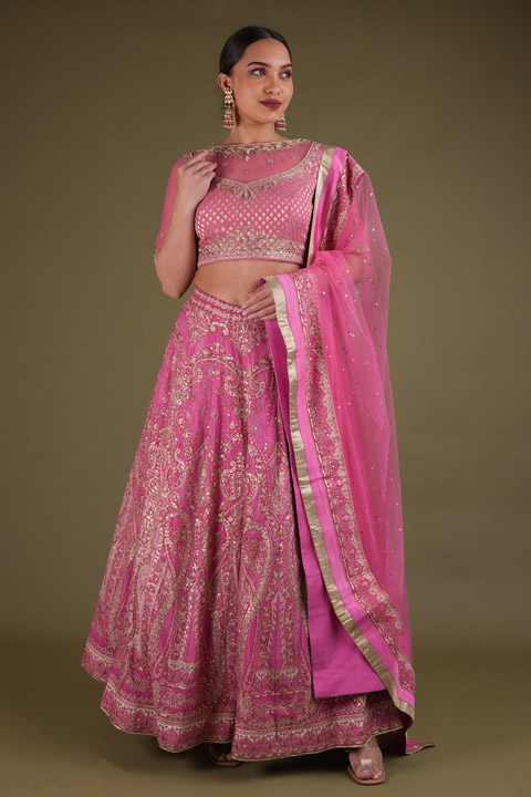 Pink Embellished Lehenga
