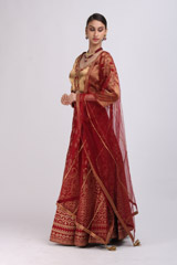 Maroon Embellished LehengaIMG_9878