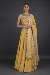 Yellow Embellished Lehenga