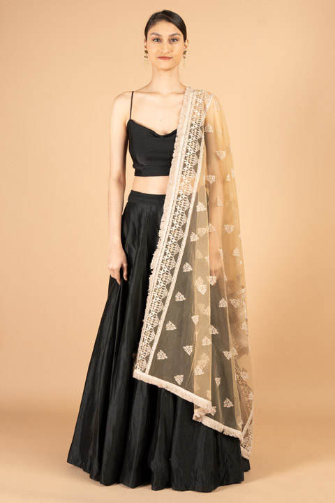 Brown Net Dupatta