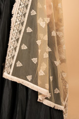 Brown Net DupattaDSC07235