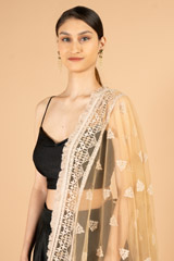 Brown Net DupattaDSC07236