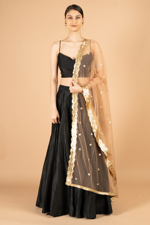 Sequin Border Dupatta