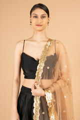 Sequin Border DupattaDSC07239