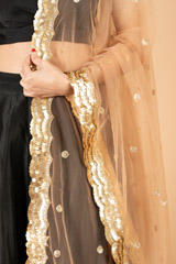 Sequin Border DupattaDSC07240