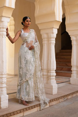 Grey Embroidered SareeDSC07616